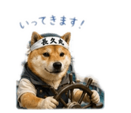 852137034