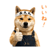 852137036