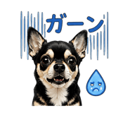 852137060