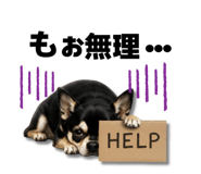 852137069