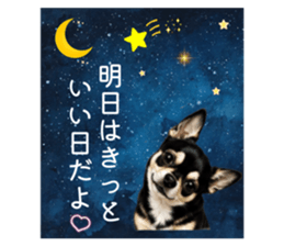 852137072