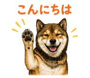 852137195