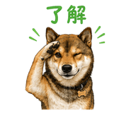 852137197
