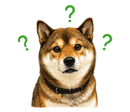 852137202