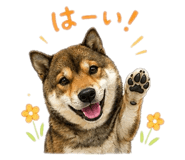852137204