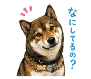 852137208