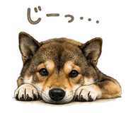 852137211
