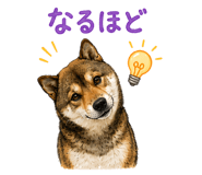 852137213