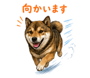 852137219