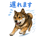 852137220