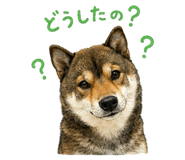 852137225