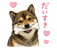 852137226