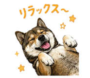 852137227