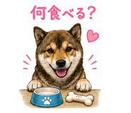 852137231
