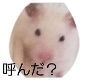 852139233