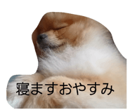 852139234