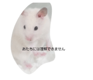 852139237