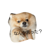 852139238