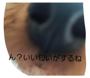 852139240
