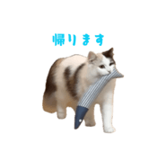 852140569