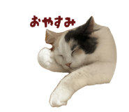 852140572