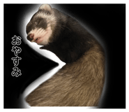 852141281