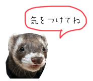 852141285