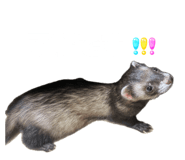 852141289