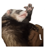 852141290