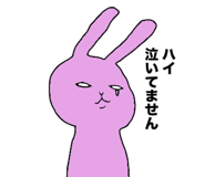 852141701