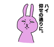 852141707
