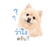 852151269