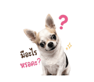 852152432