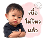 852153202