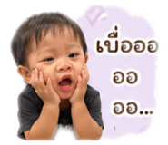 852153203