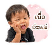 852153216