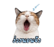 852155912