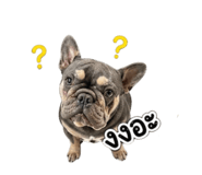 852160338