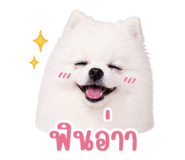 852161126