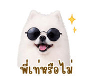 852161134