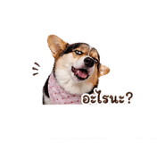 852162966