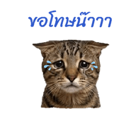 852163179