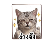 852163186