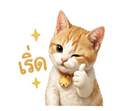 852166393