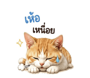 852166396
