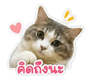 852167301