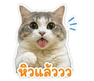 852167312