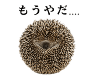 852168369