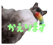 852169606