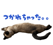 852169608
